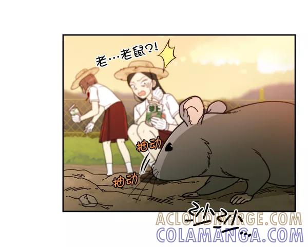 《种植部神秘日志》[第18话] 非常非常完美的男人（2） 第41页
