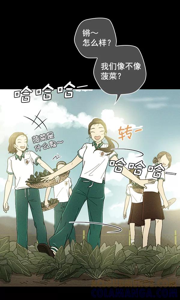 《种植部神秘日志》[第19话] 蔫蔫的菠菜 power up（1） 第58页