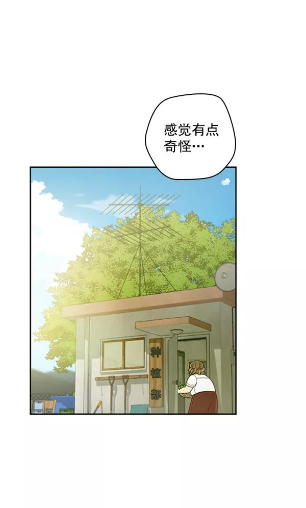 《种植部神秘日志》[第22话] 蔫蔫的菠菜 power up（4） 第38页