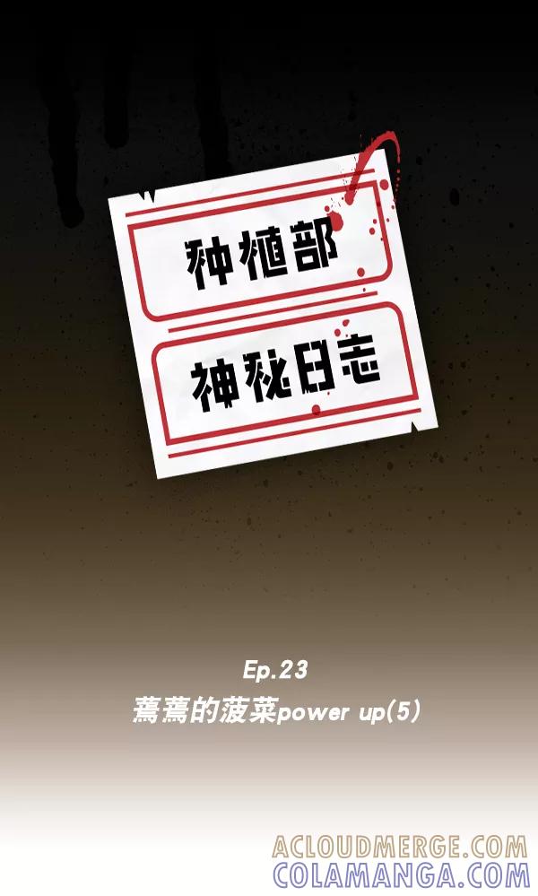 《种植部神秘日志》[第23话] 蔫蔫的菠菜 power up（5） 第5页