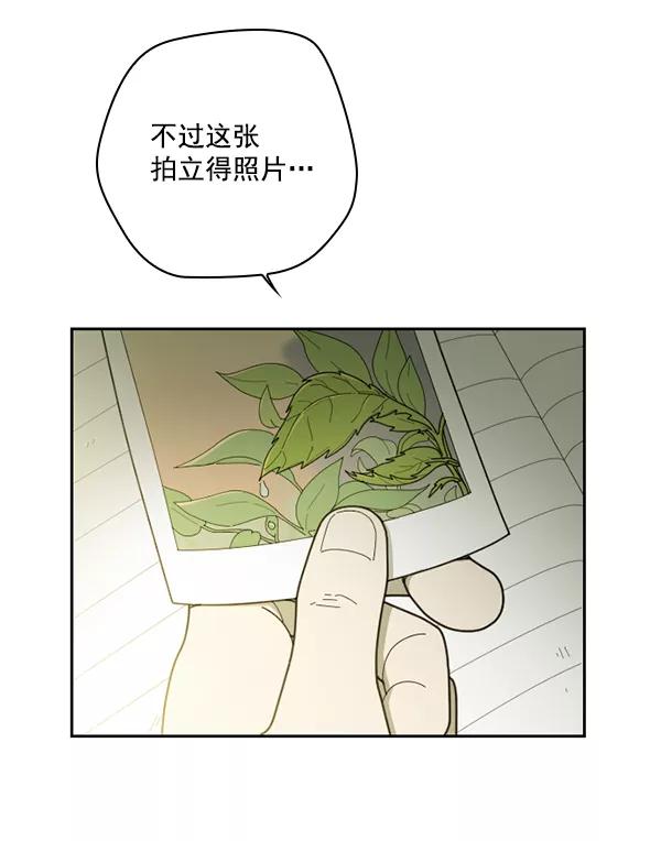 《种植部神秘日志》[第24话] 还记得那个时候吗？ 第106页