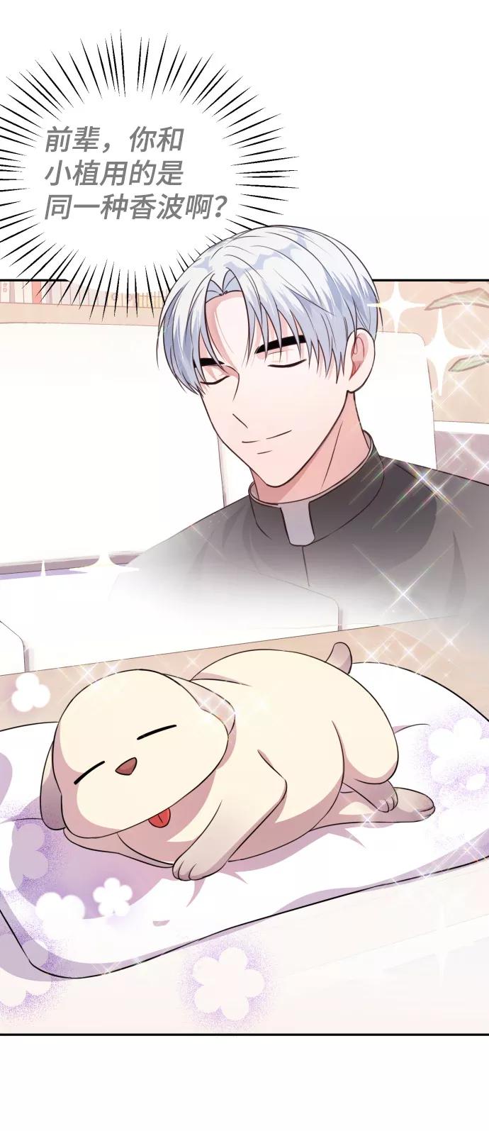 《神圣的爱豆》第33话 第11页