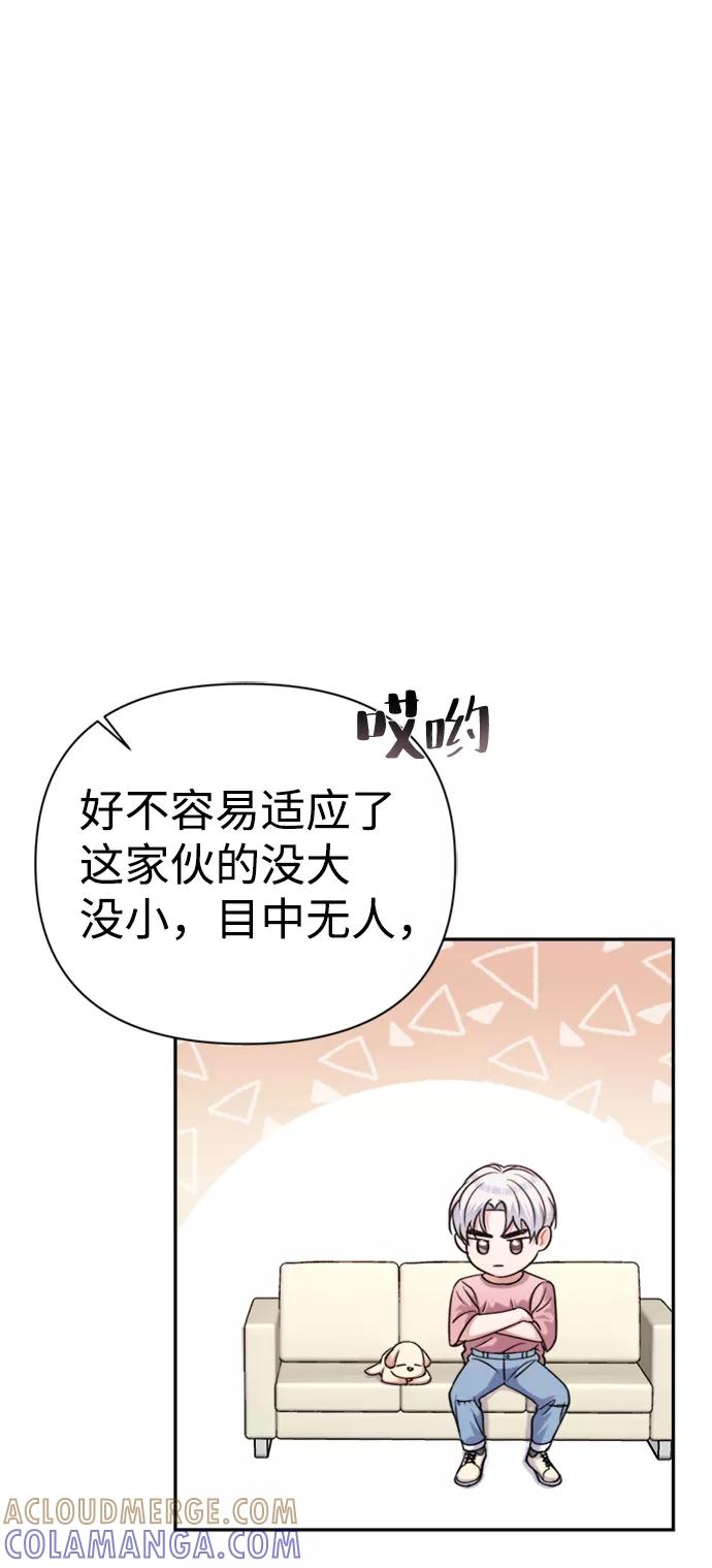 《神圣的爱豆》第41话 第40页