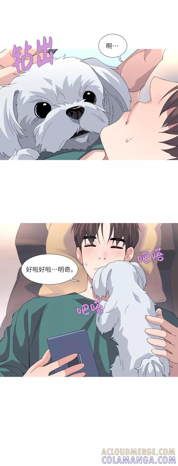《胆小的调色盘》第46话 第17页