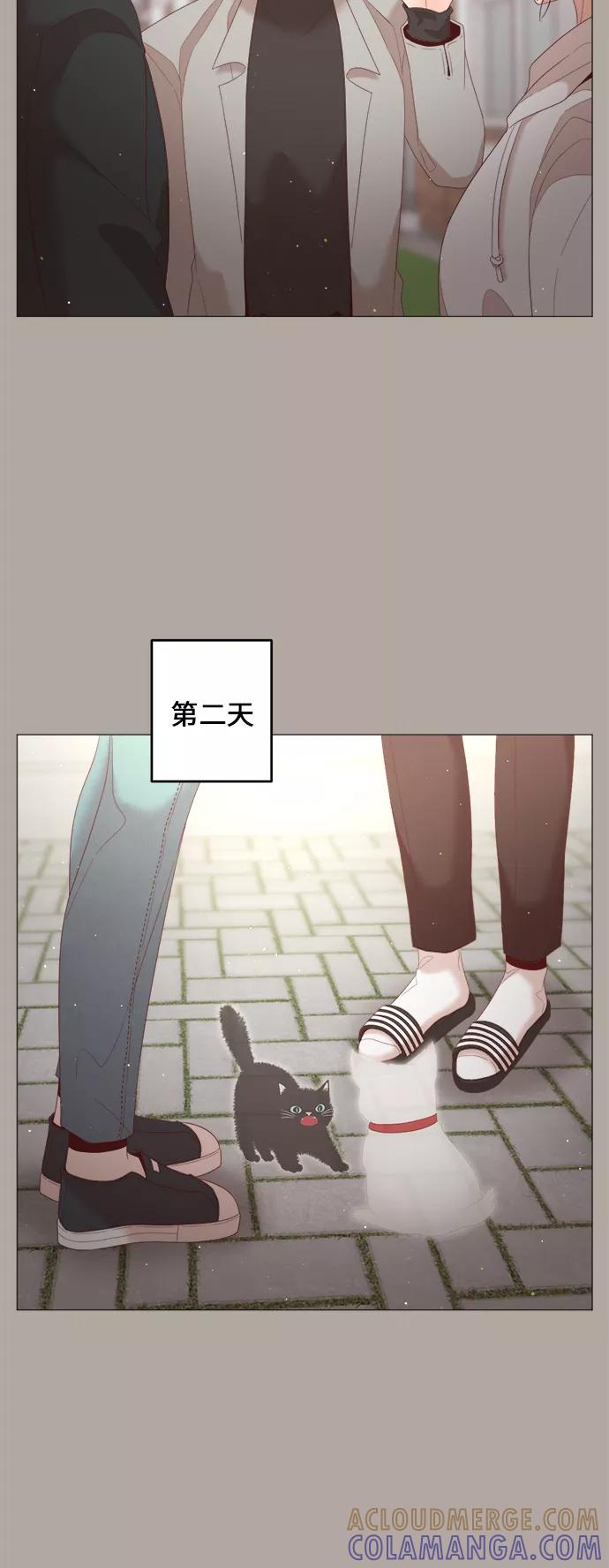 《牵牛和仙女》第57话 第40页