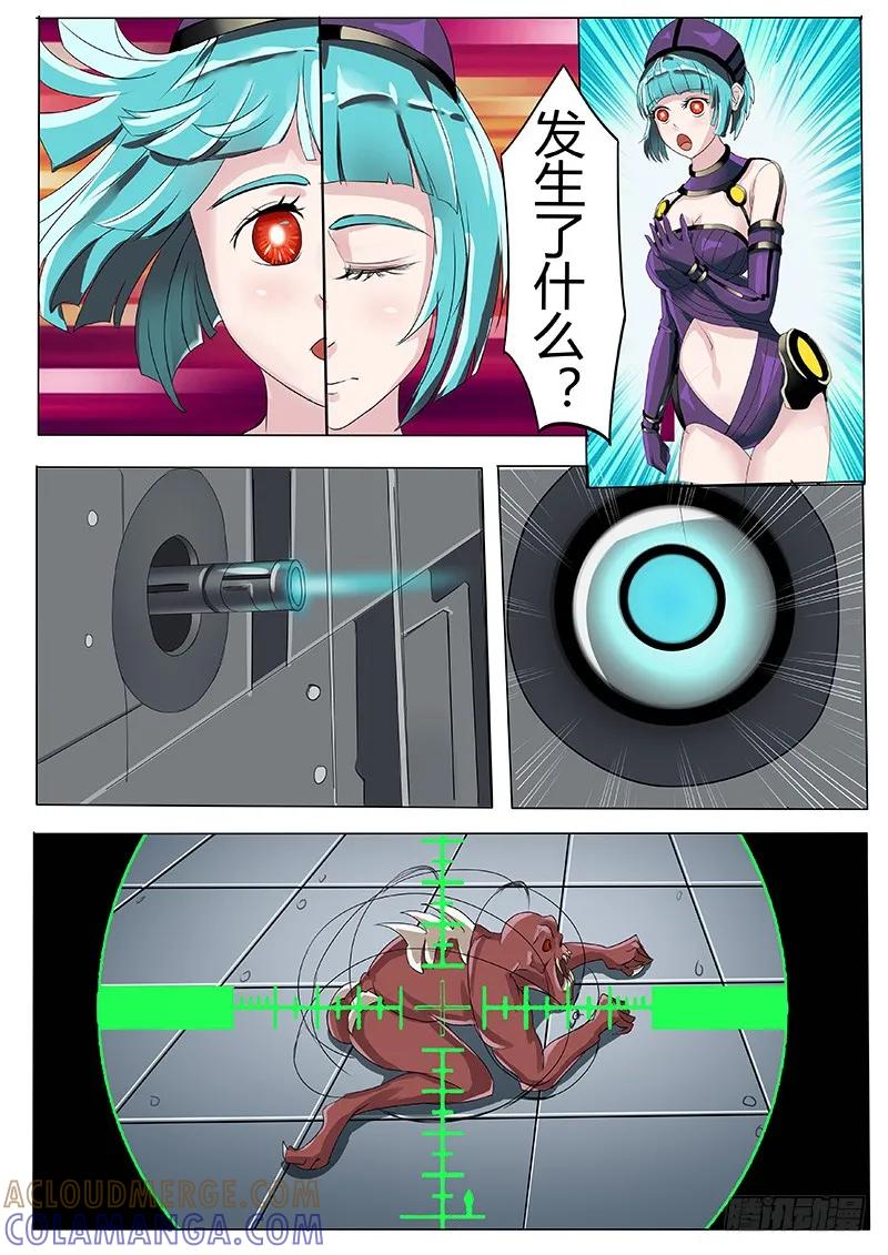 《熊猫侠齐天》唐盾公司的产品 第5页