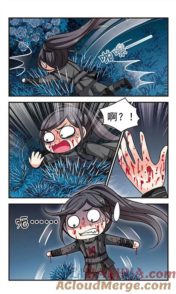 5.jpg