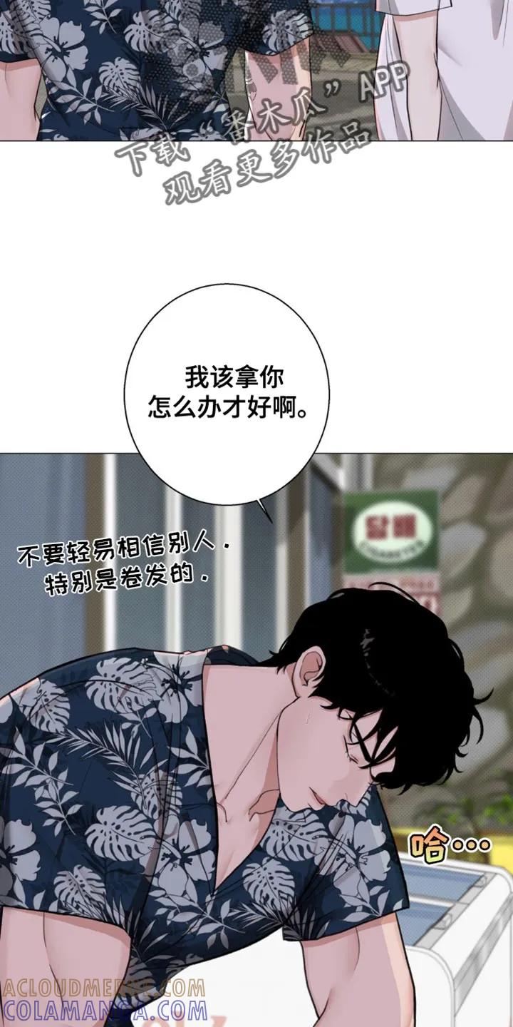 《海岛人生》第30章：你不要做坏事 第25页