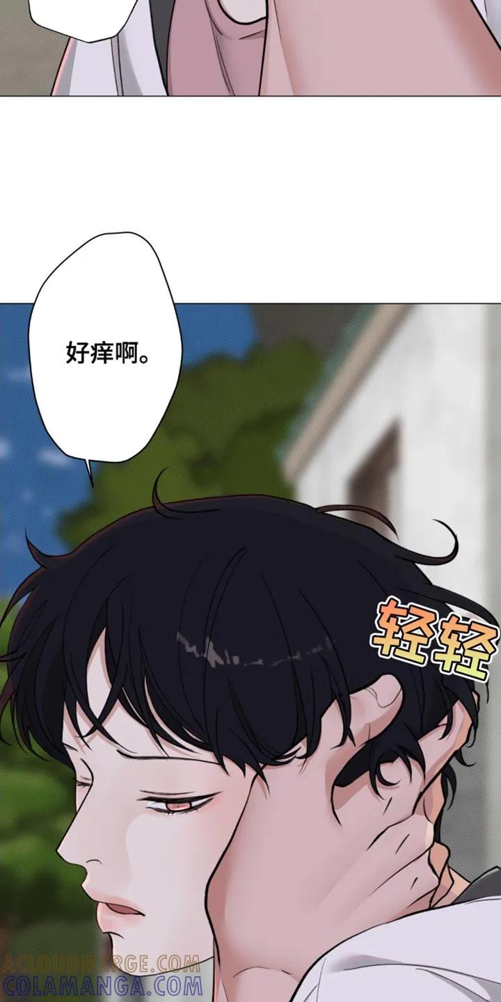 《海岛人生》第30章：你不要做坏事 第7页