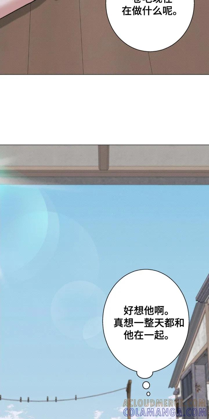 《海岛人生》第31章：好想他啊 第17页