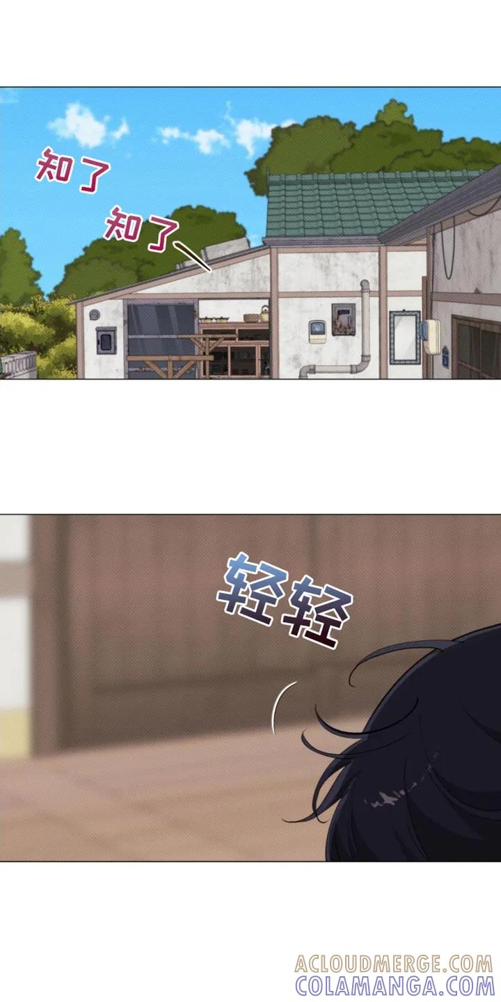 《海岛人生》第31章：好想他啊 第21页