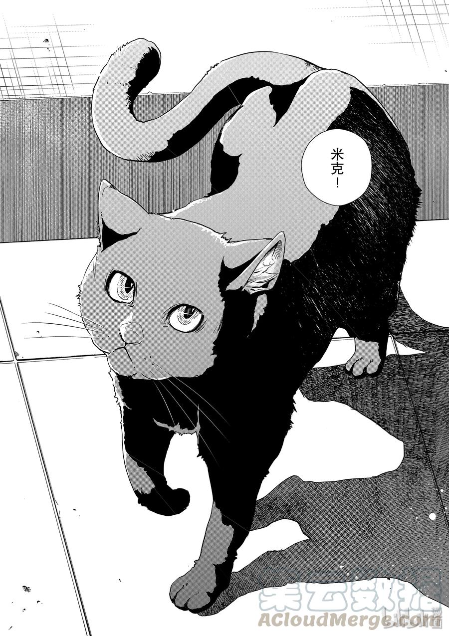风都侦探 - 16 第16话 c在何处 1_寻猫的天才 - 第19张图