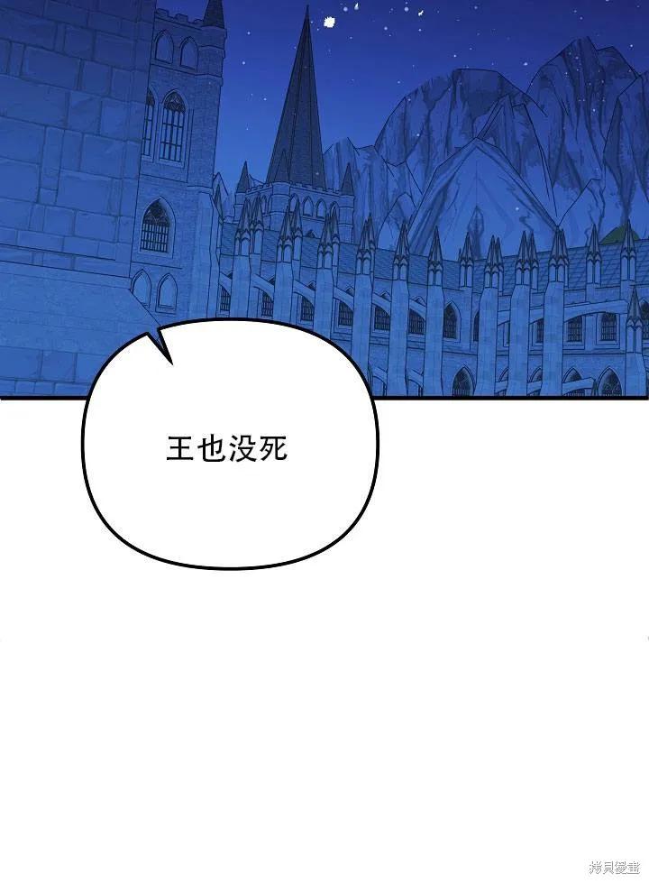 《王女在装疯卖傻》第34话 第108页