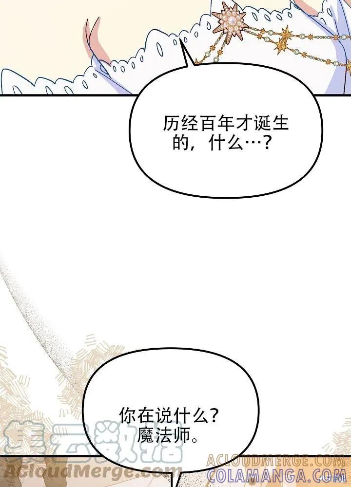 《王女在装疯卖傻》第40话 第29页
