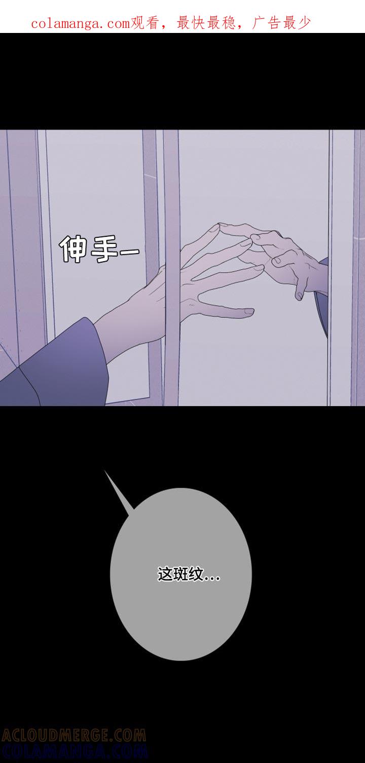 《鬼门关》第103章：【第二季】斑纹 第1页