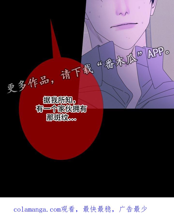 《鬼门关》第103章：【第二季】斑纹 第30页