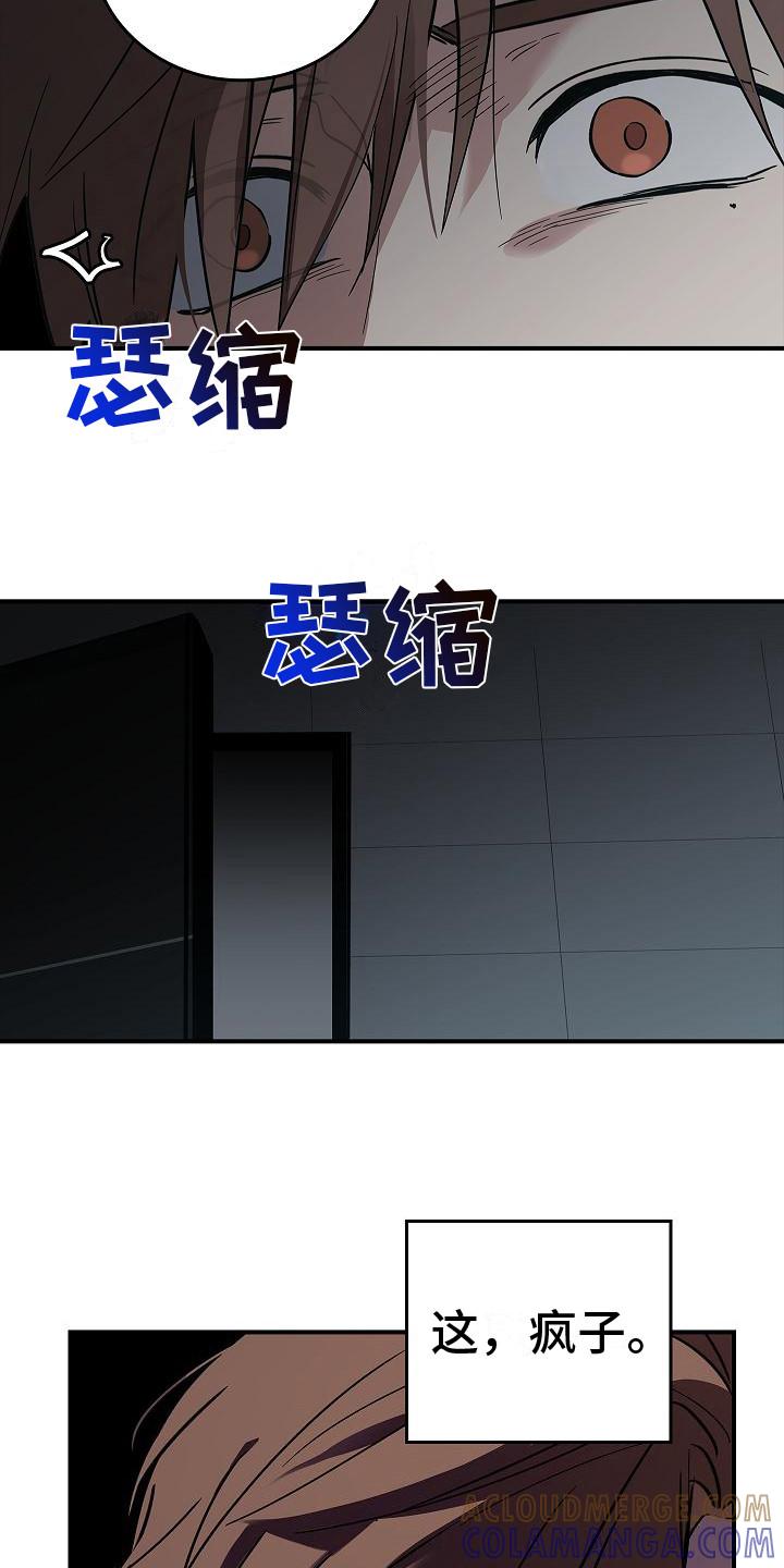 《被男人掌控生死》第27章：精神崩溃 第9页