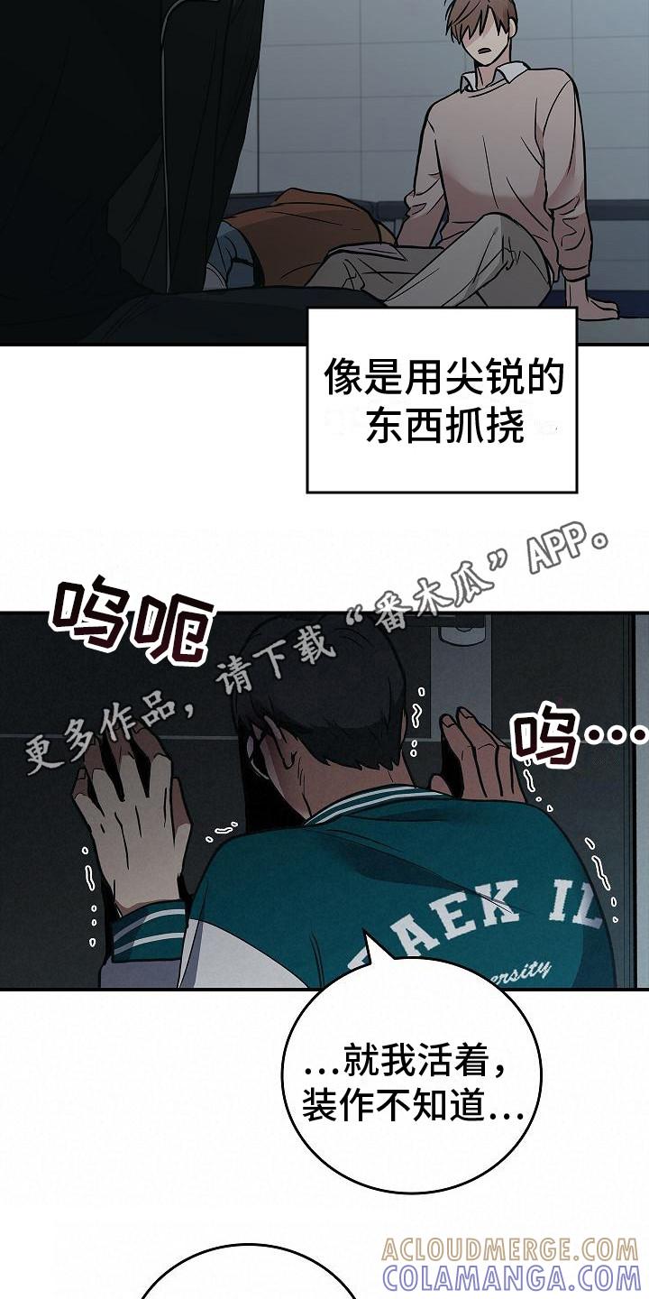 《被男人掌控生死》第27章：精神崩溃 第5页