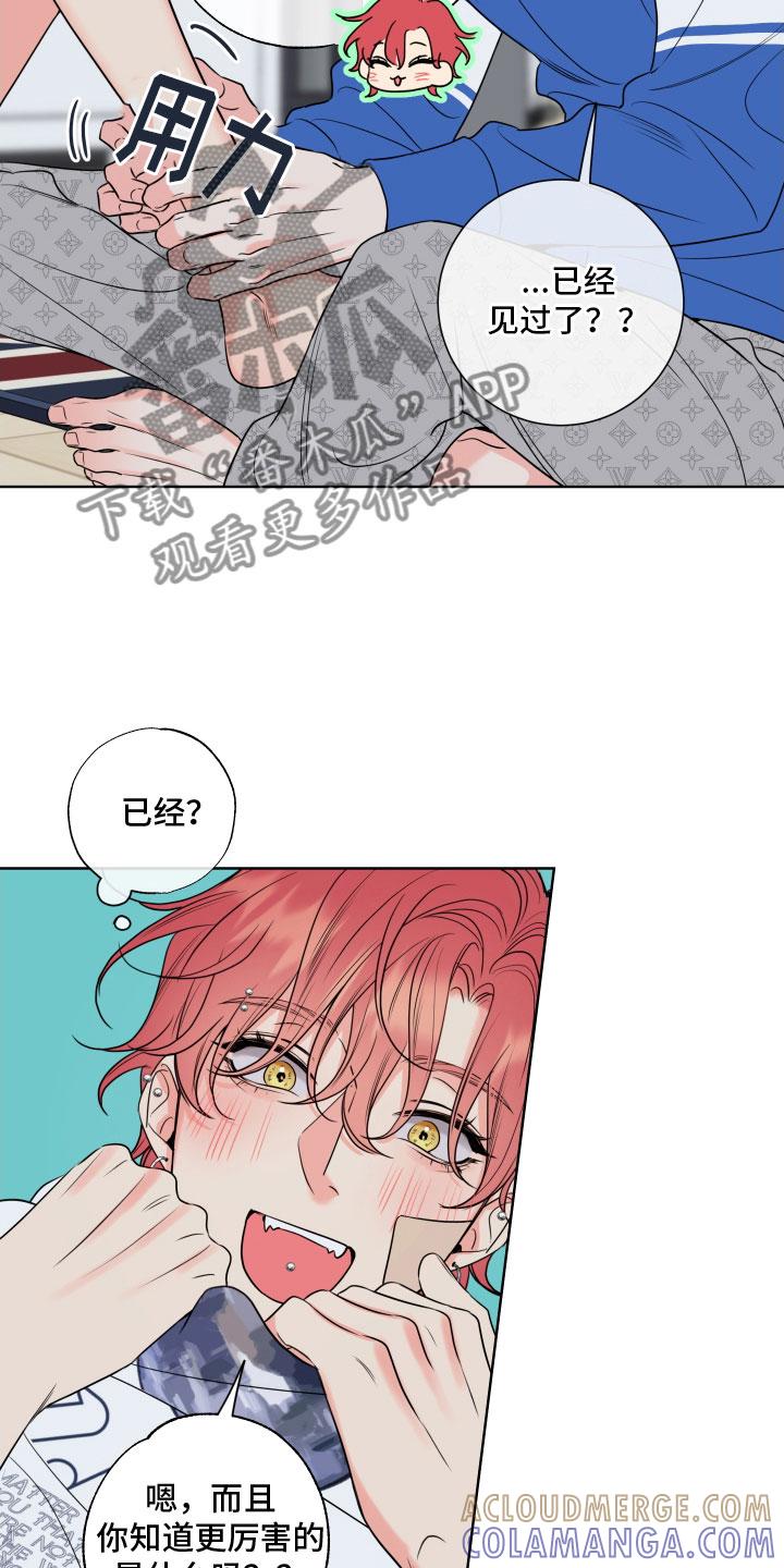 麻烦的爱情 - 第29章：乐极生悲 - 第19张图