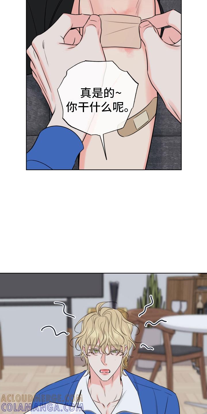 麻烦的爱情 - 第29章：乐极生悲 - 第11张图