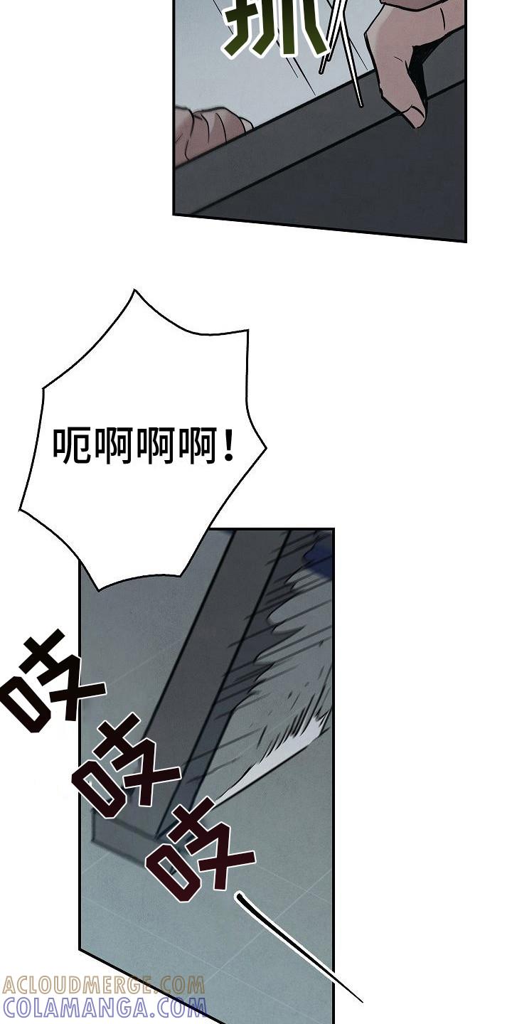 《被男人掌控生死》第29章：应对 第3页