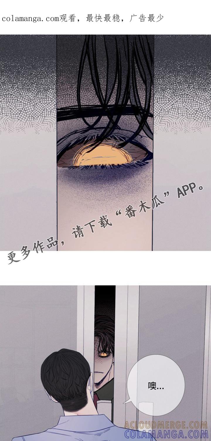 《鬼门关》第42章：妨碍 第1页