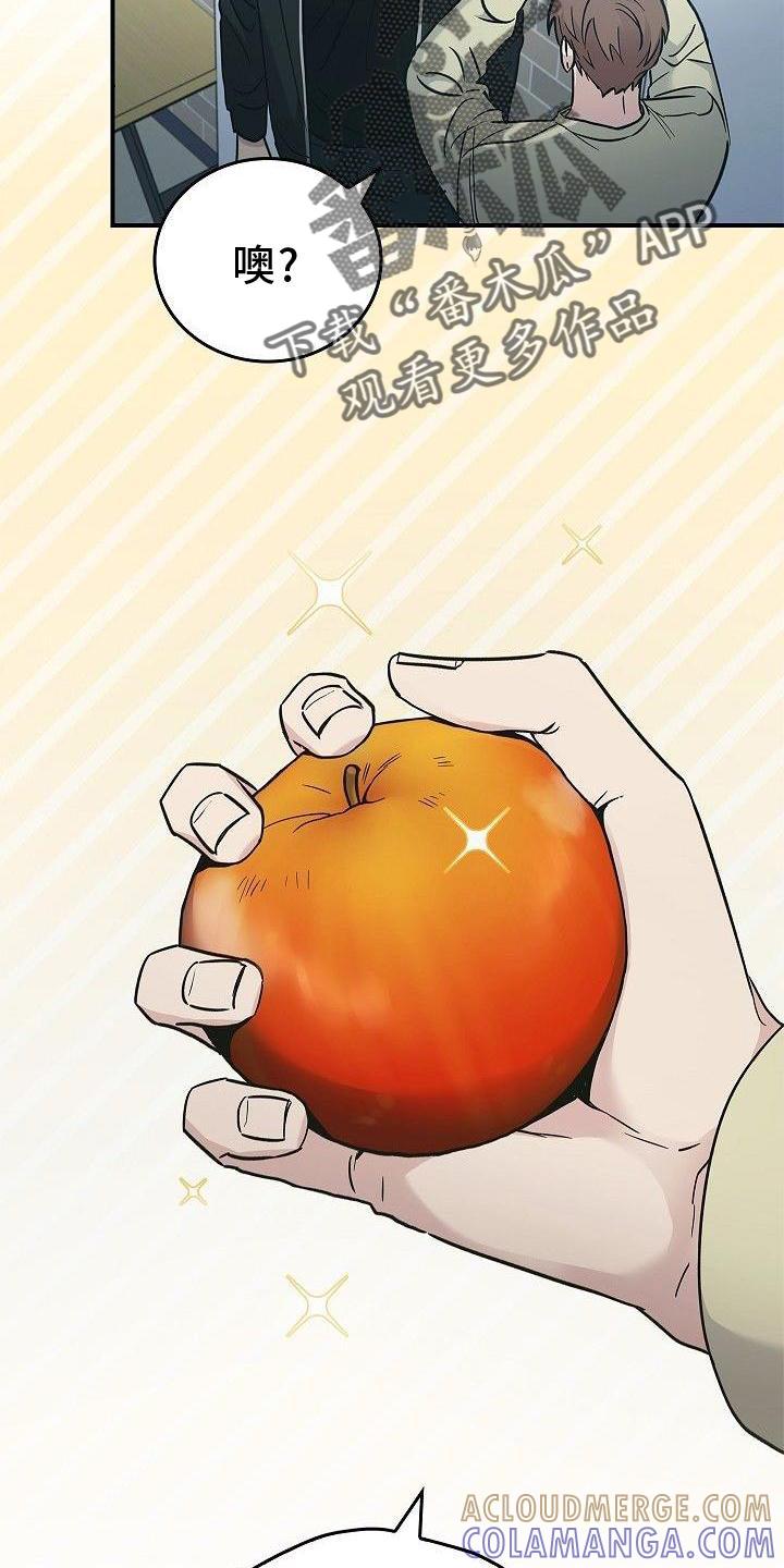 《被男人掌控生死》第48章：苹果 第19页