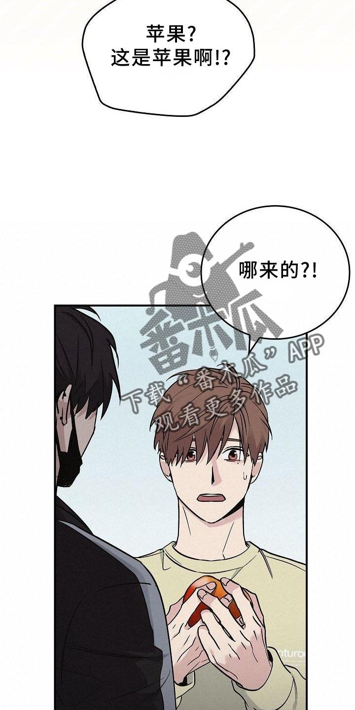 《被男人掌控生死》第48章：苹果 第20页