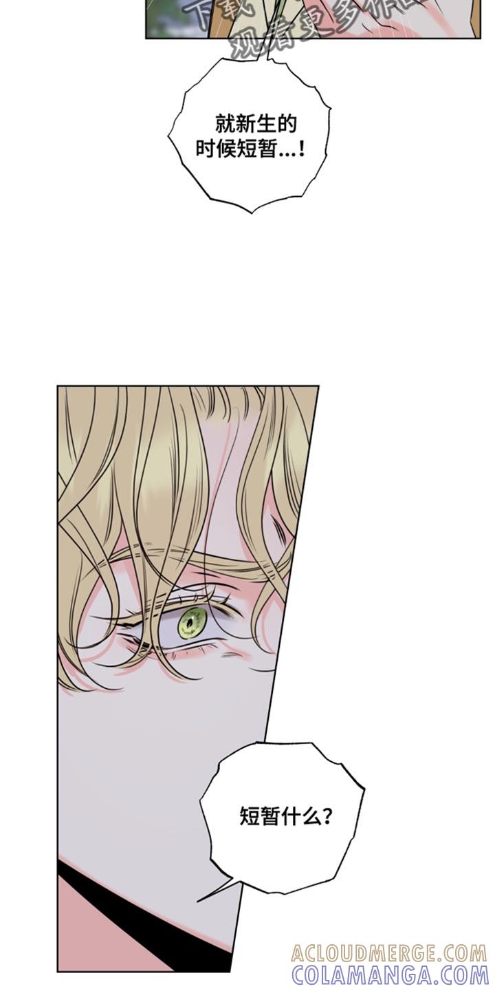 麻烦的爱情 - 第50章：短暂交往过 - 第15张图