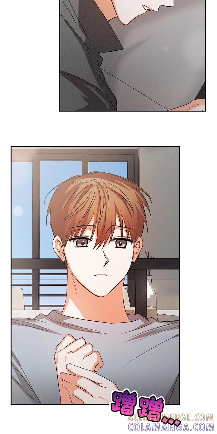 《逢九年》第54章：【第二季】轻微的安慰 第15页
