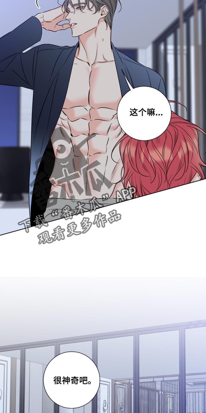 麻烦的爱情 - 第54章：你打算怎么做 - 第8张图