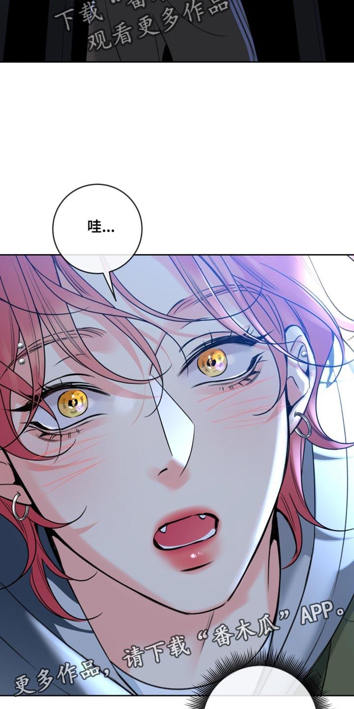 麻烦的爱情 - 第78章：【第二季】真漂亮 - 第16张图