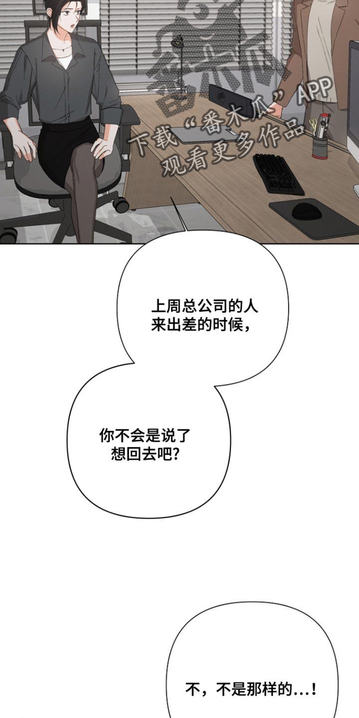 《逢九年》第93章：【第三季】回到总公司 第20页