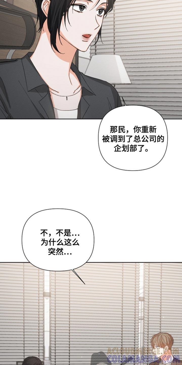 《逢九年》第93章：【第三季】回到总公司 第19页