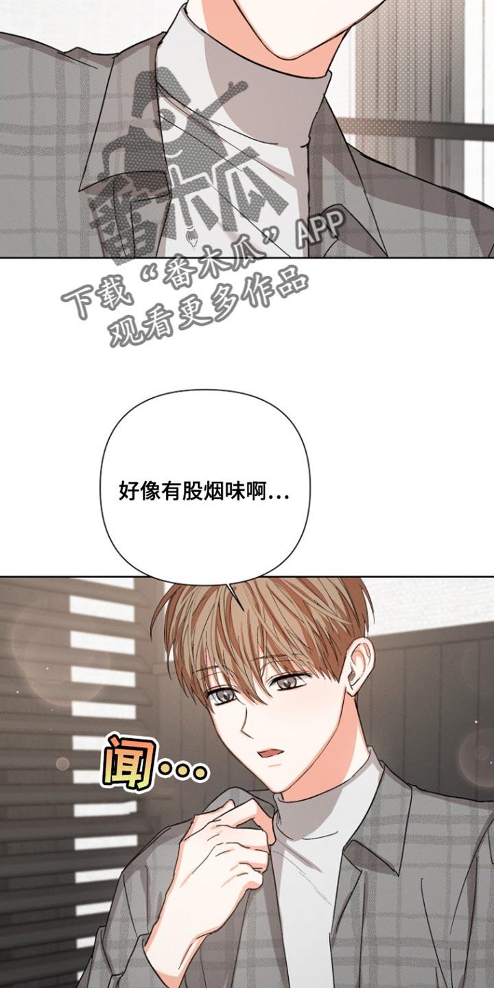 《逢九年》第93章：【第三季】回到总公司 第14页