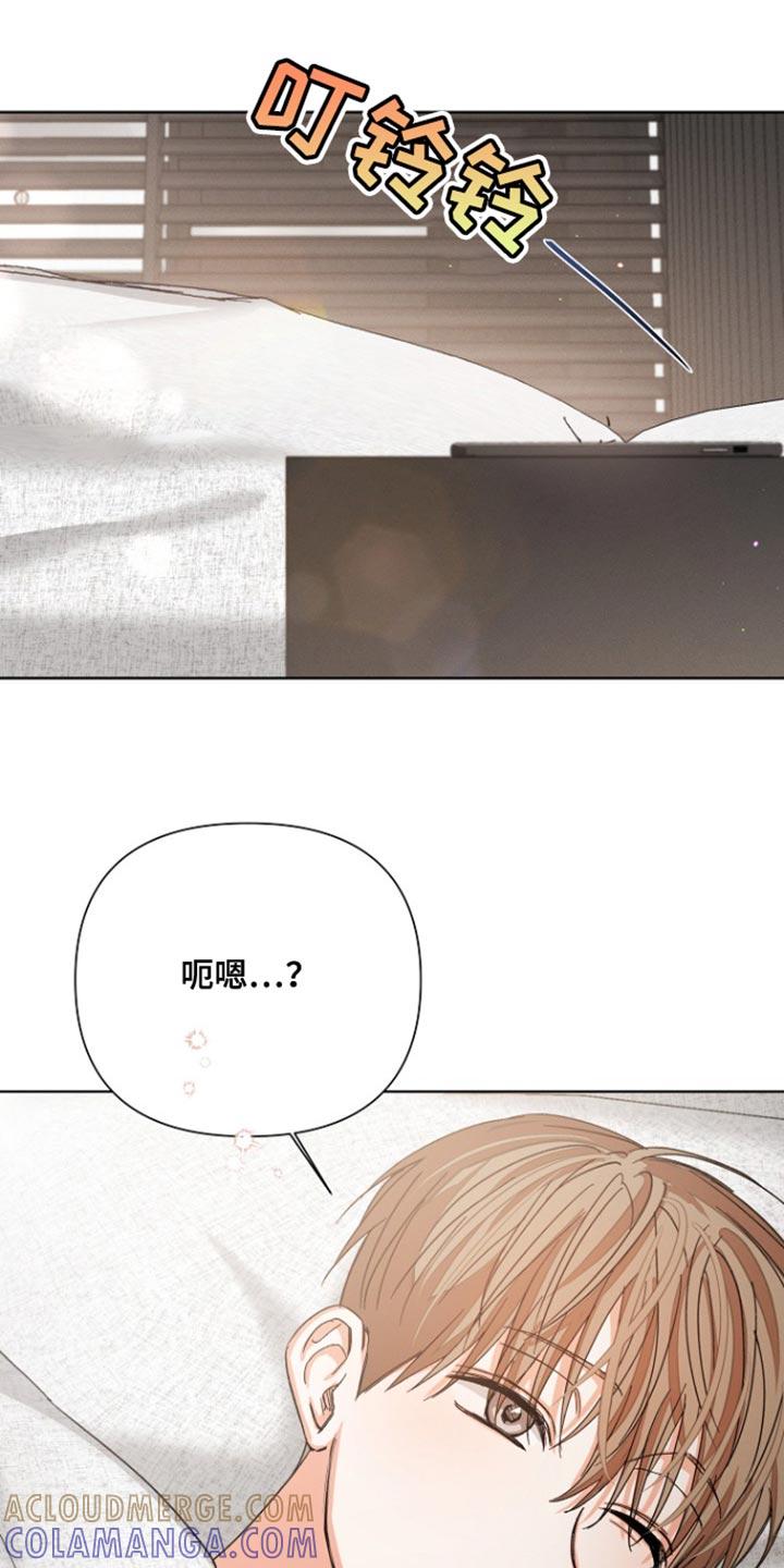 《逢九年》第93章：【第三季】回到总公司 第11页