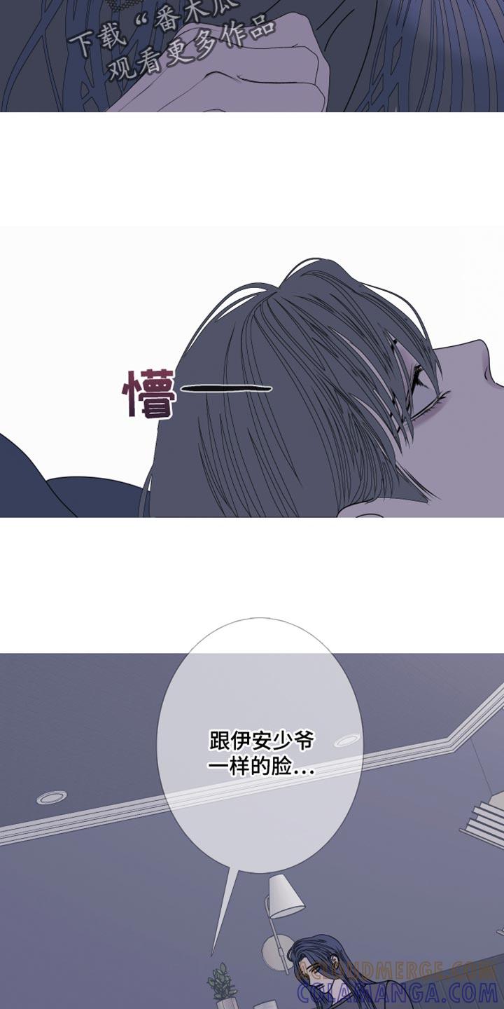 《鬼门关》第98章：【第二季】一样的脸 第11页