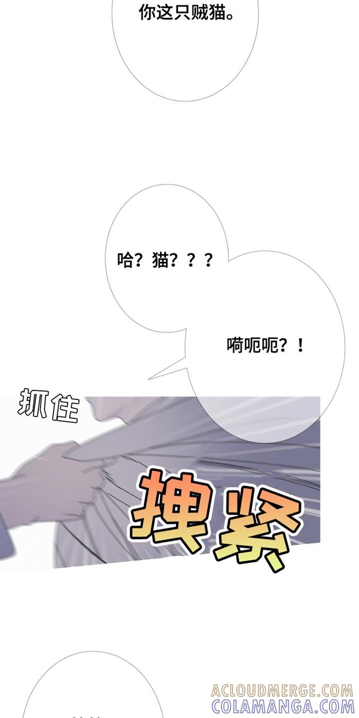 《鬼门关》第99章：【第二季】故意给我看的？ 第13页