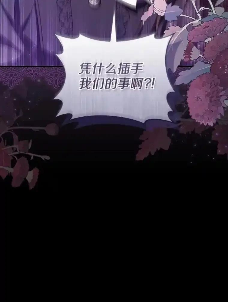 《从今天起，公爵府由我接管》71.凭什么插手？ 第119页