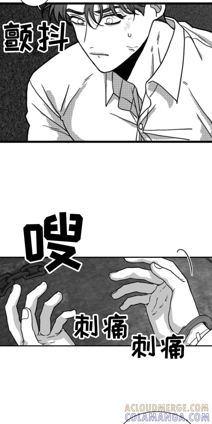 《疯狂禁锢》第11章：思考 第13页