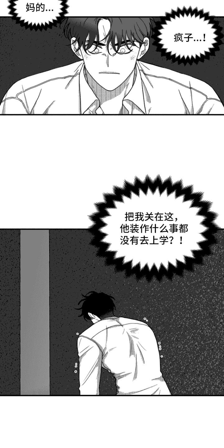 《疯狂禁锢》第11章：思考 第6页