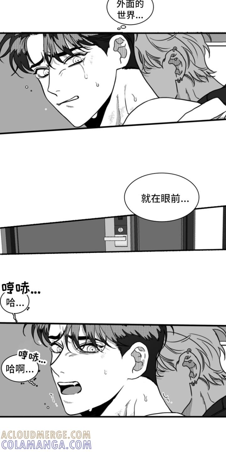 《疯狂禁锢》第16章：身不由己 第5页