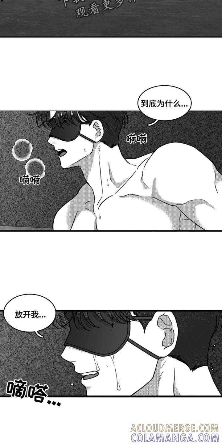 《疯狂禁锢》第24章：他到底恨我什么 第11页