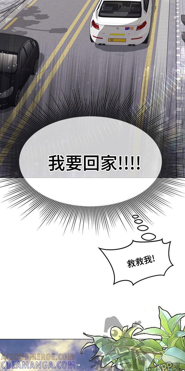 《虚情假意》第29章：发展 第17页