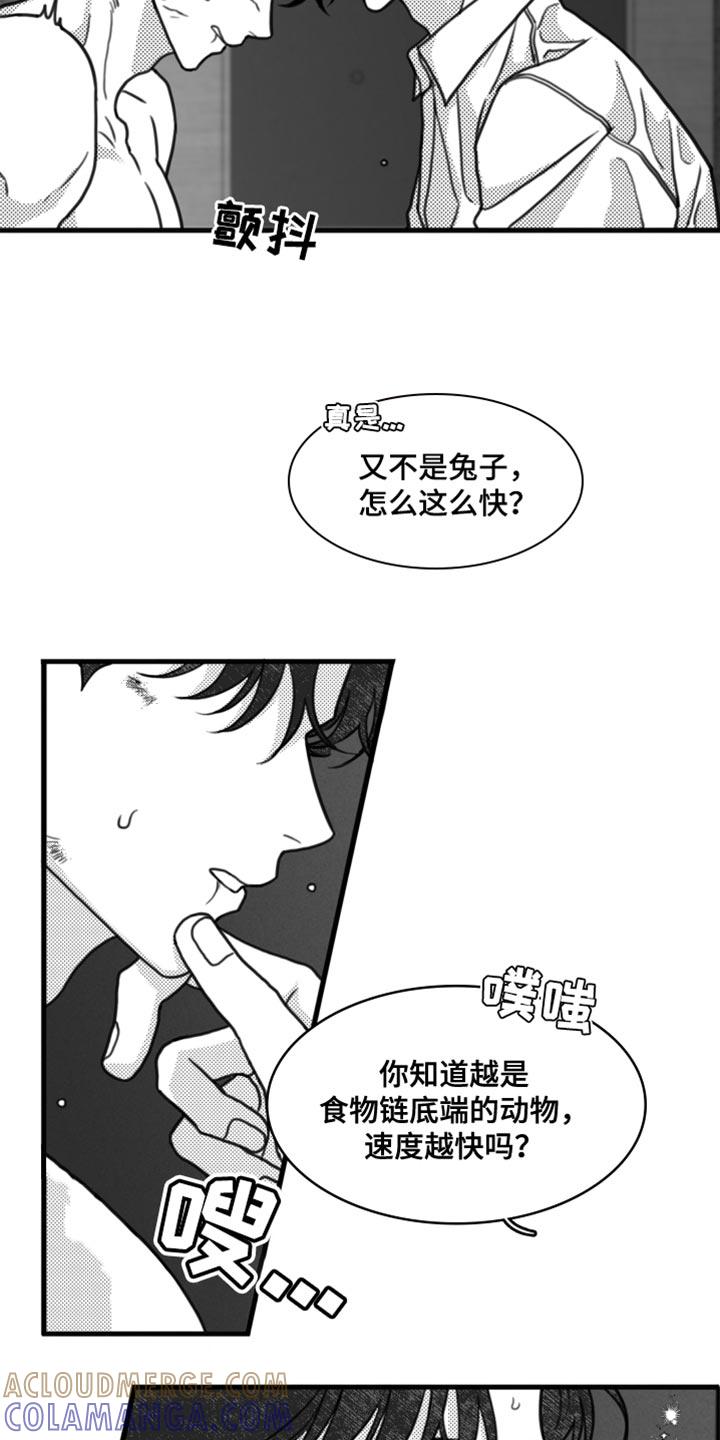 《疯狂禁锢》第29章：不适合他 第5页