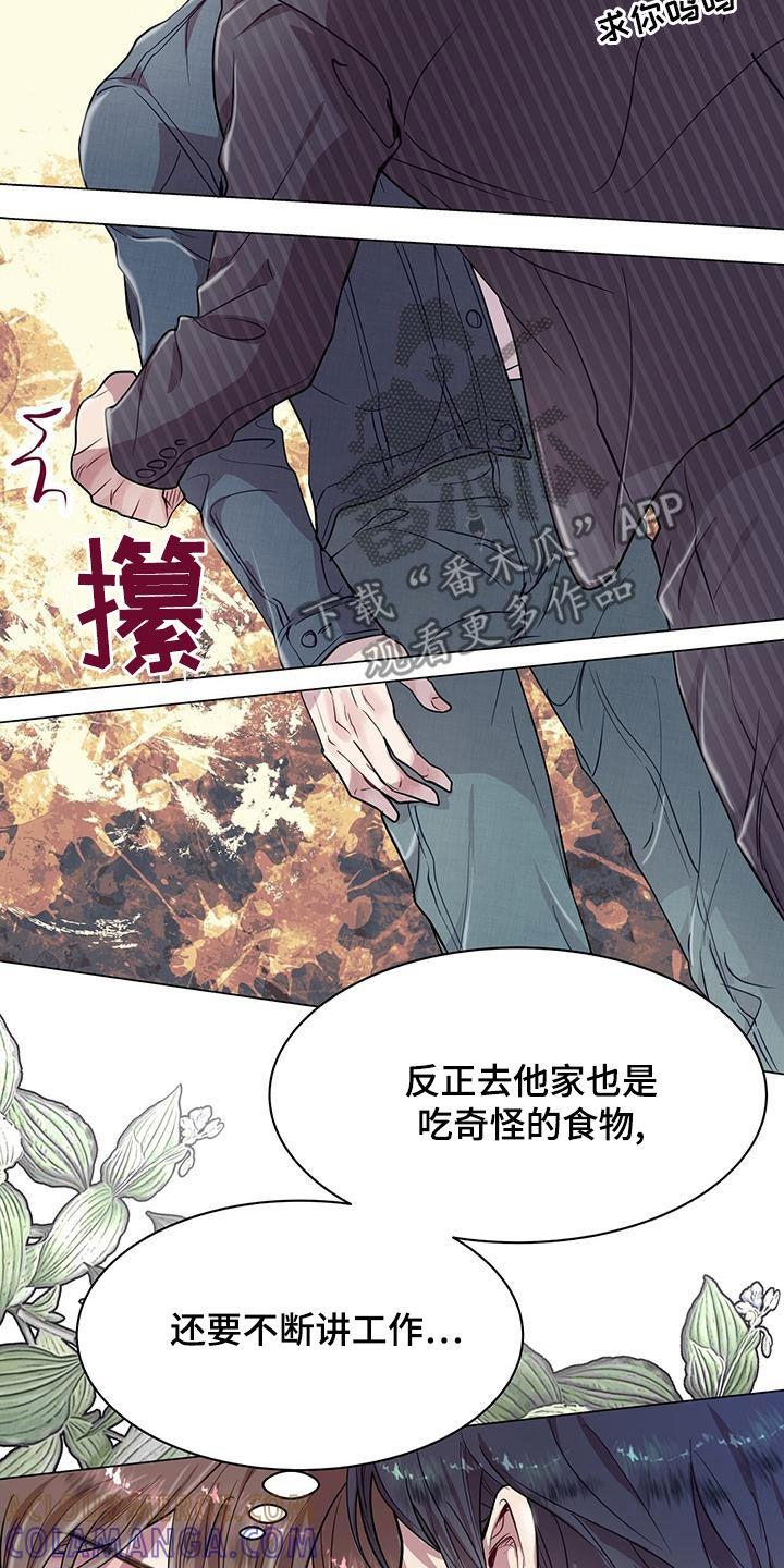《虚情假意》第29章：发展 第5页