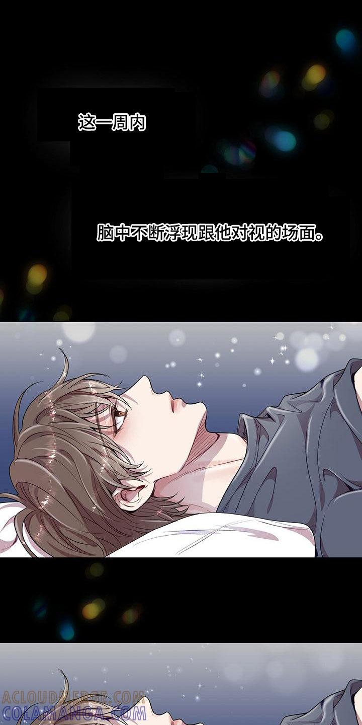 《虚情假意》第29章：发展 第25页