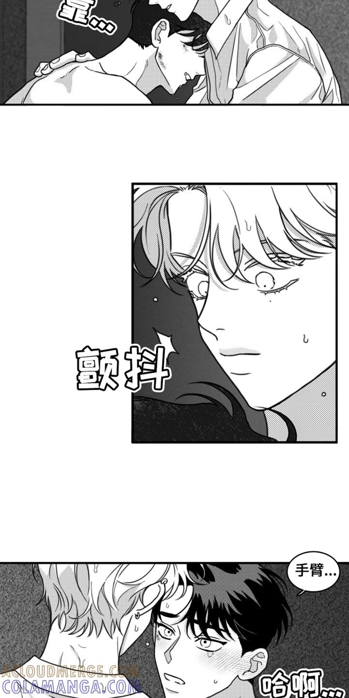 《疯狂禁锢》第29章：不适合他 第15页