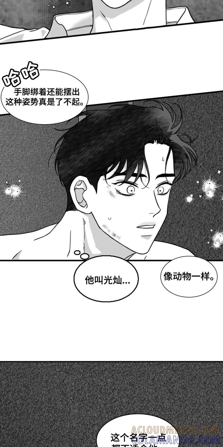 《疯狂禁锢》第29章：不适合他 第23页