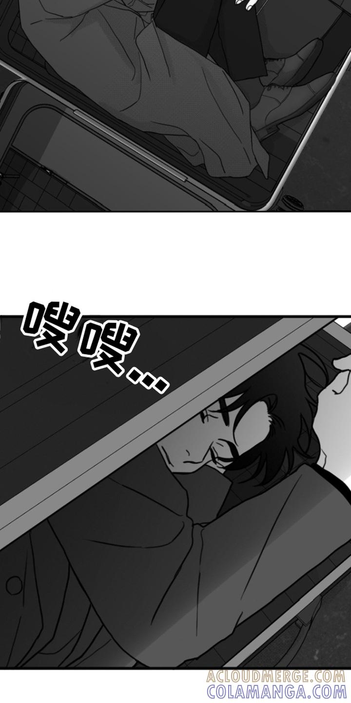 《疯狂禁锢》第3章：打闷棍 第13页
